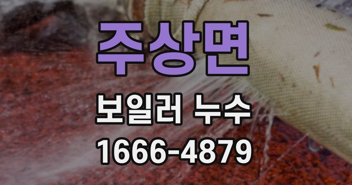 주상면 보일러 누수