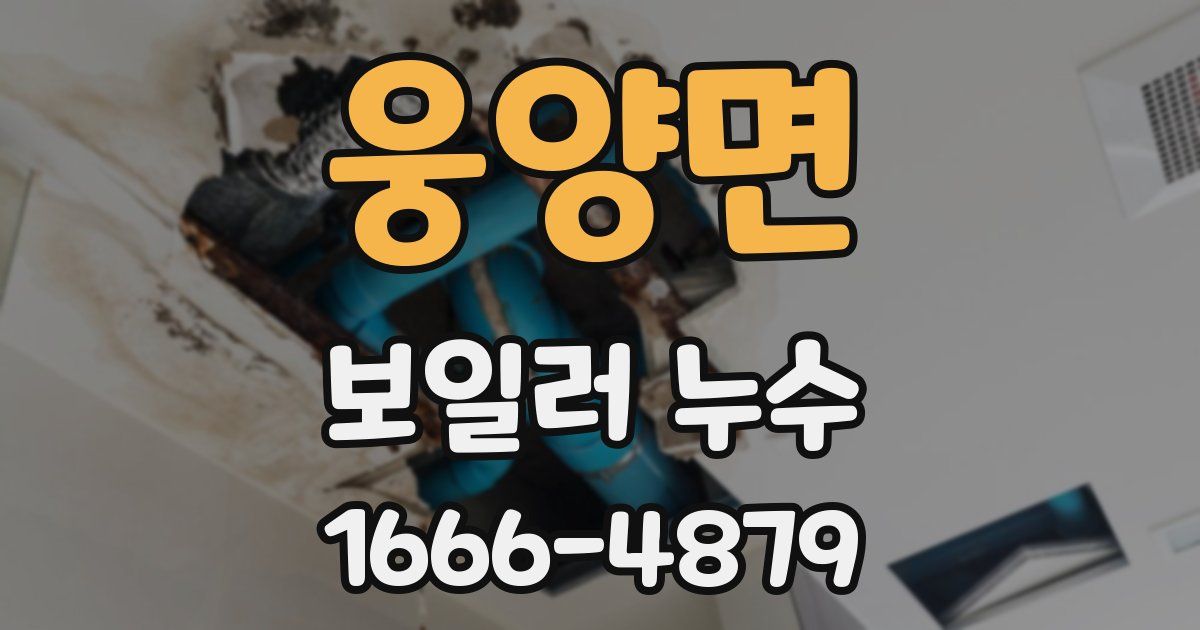 웅양면 보일러 누수