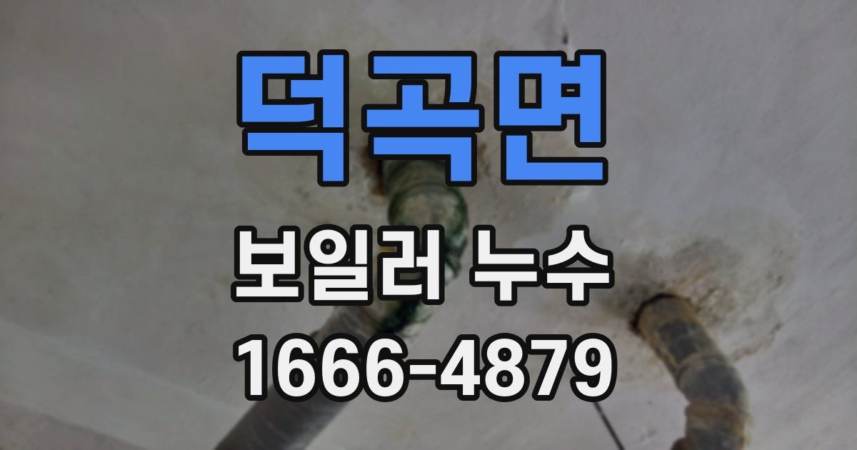 덕곡면 보일러 누수