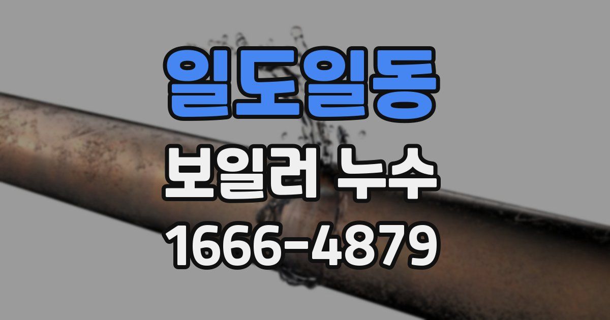 일도일동 보일러 누수