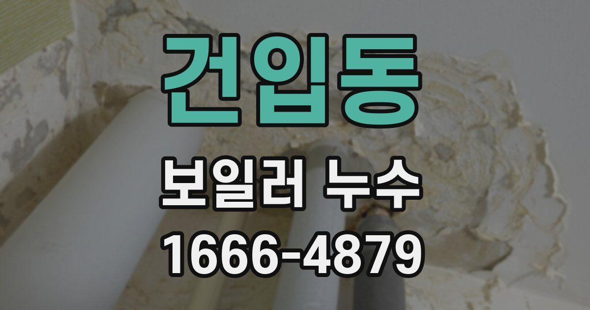 건입동 보일러 누수