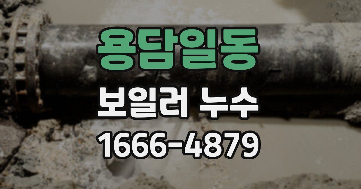 용담일동 보일러 누수