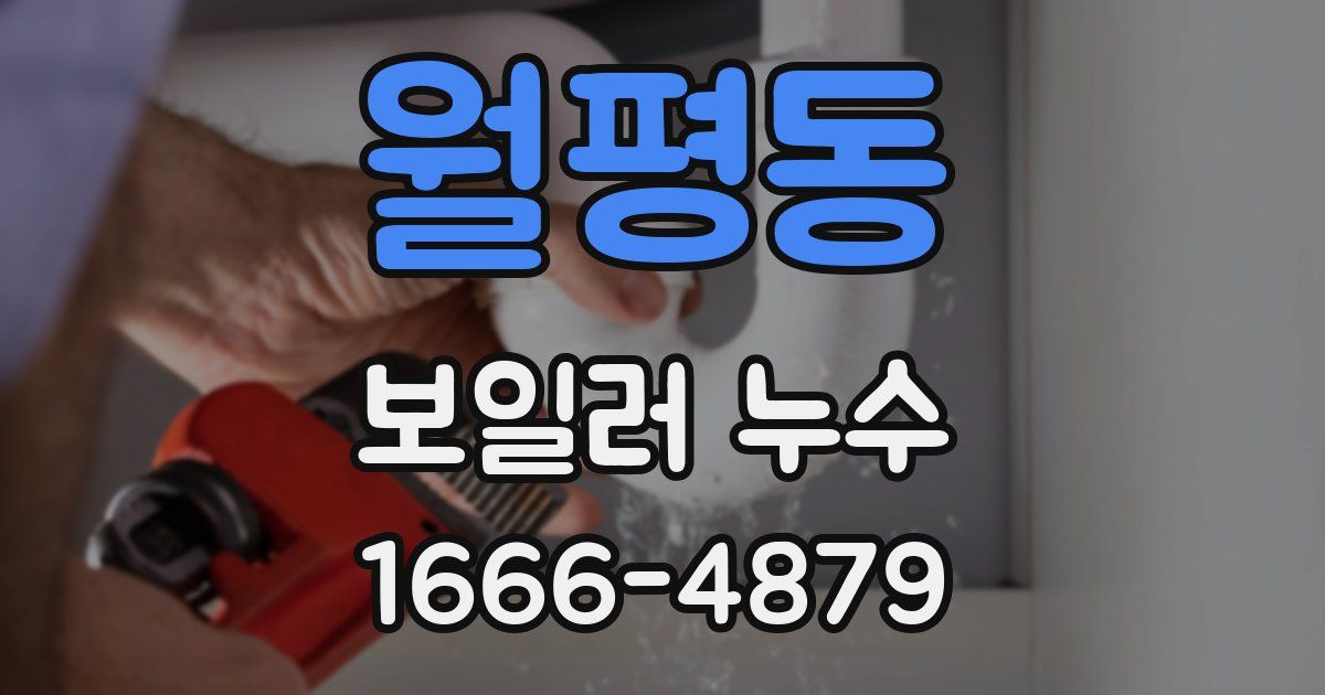 월평동 보일러 누수