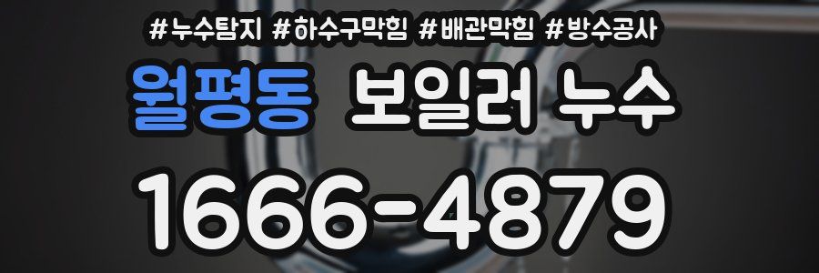 월평동 보일러 누수