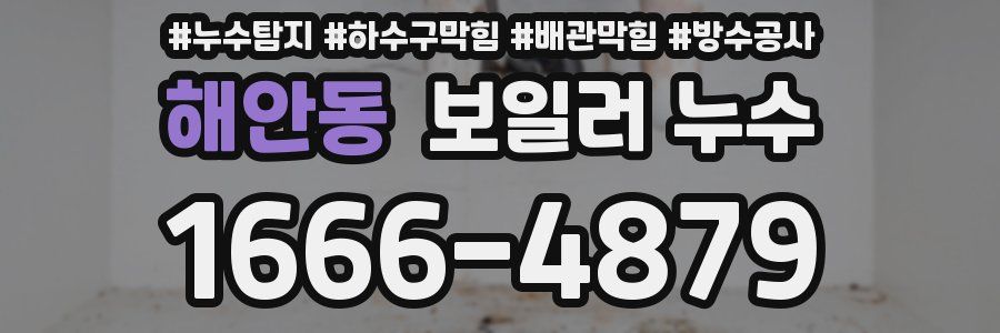 해안동 보일러 누수