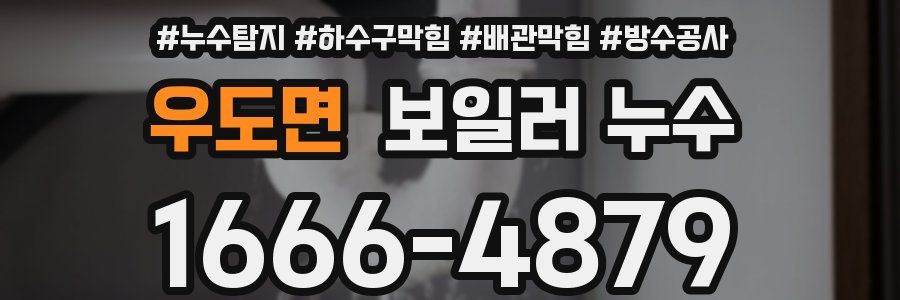 우도면 보일러 누수