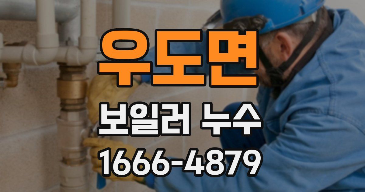 우도면 보일러 누수