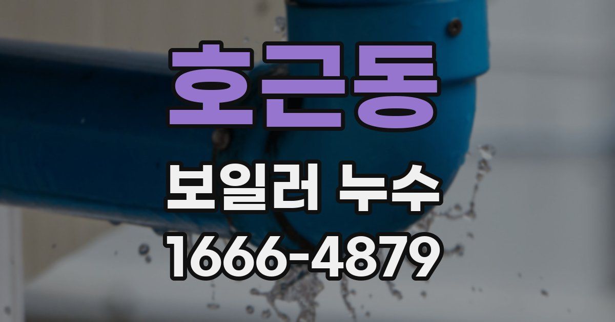 호근동 보일러 누수