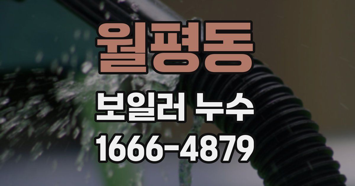 월평동 보일러 누수