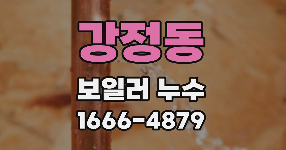 강정동 보일러 누수