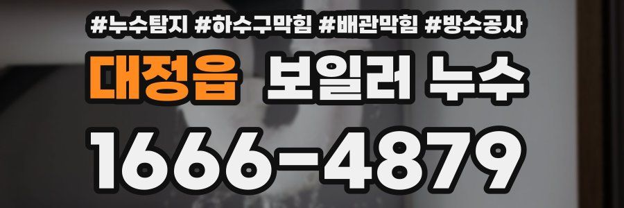 대정읍 보일러 누수
