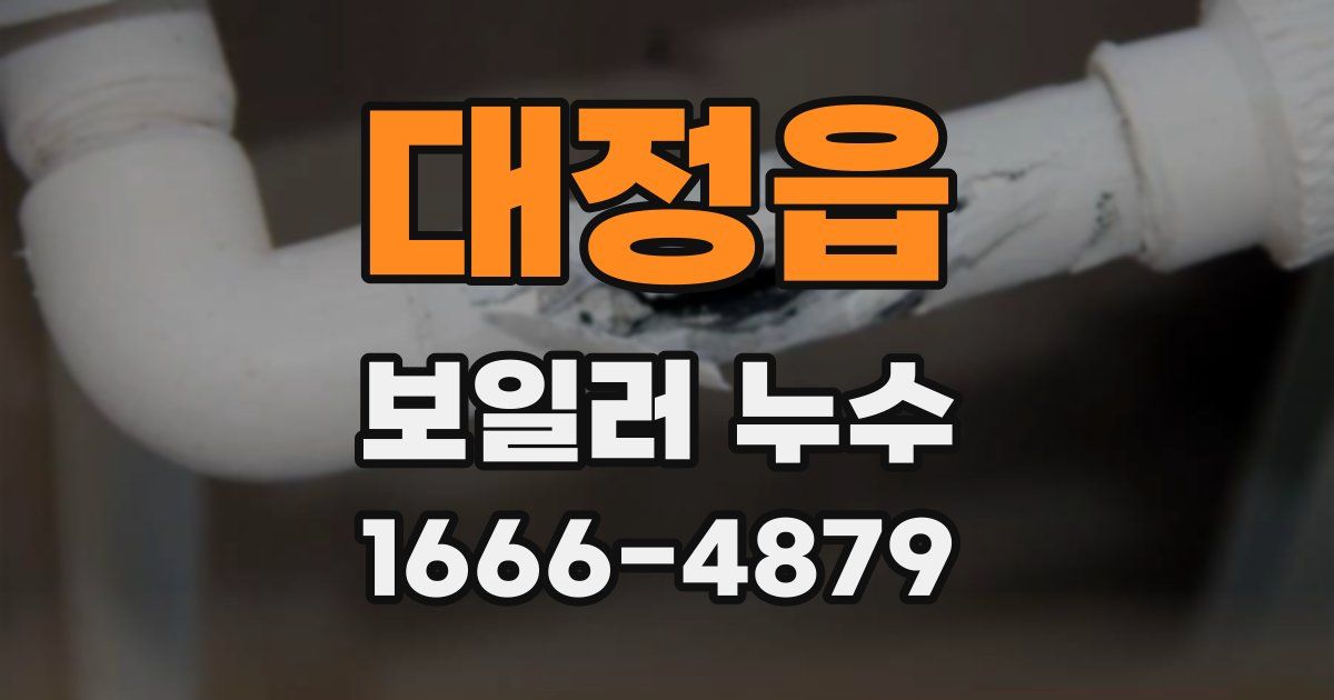대정읍 보일러 누수