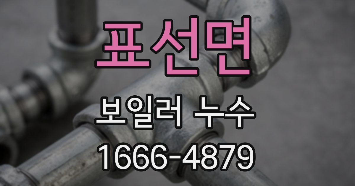 표선면 보일러 누수