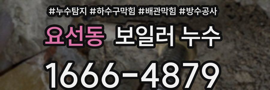 요선동 보일러 누수