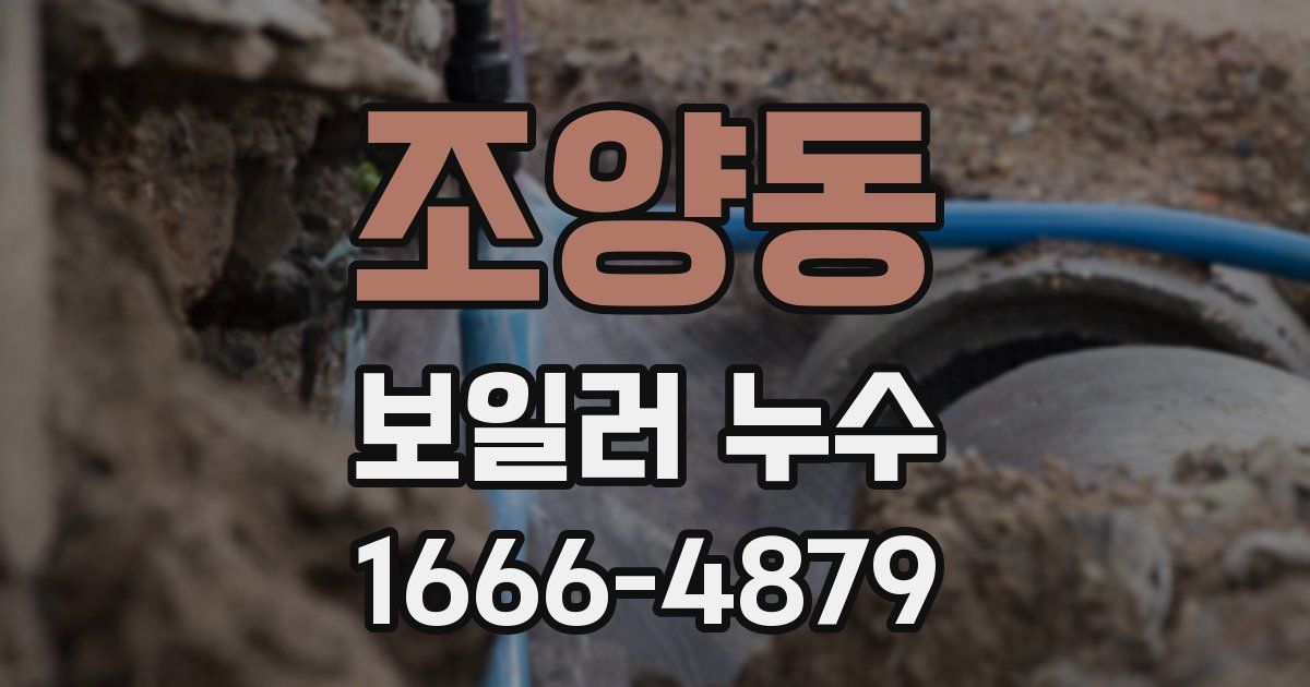 조양동 보일러 누수