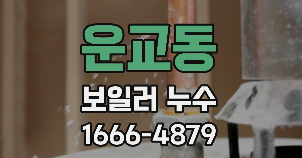 운교동 보일러 누수