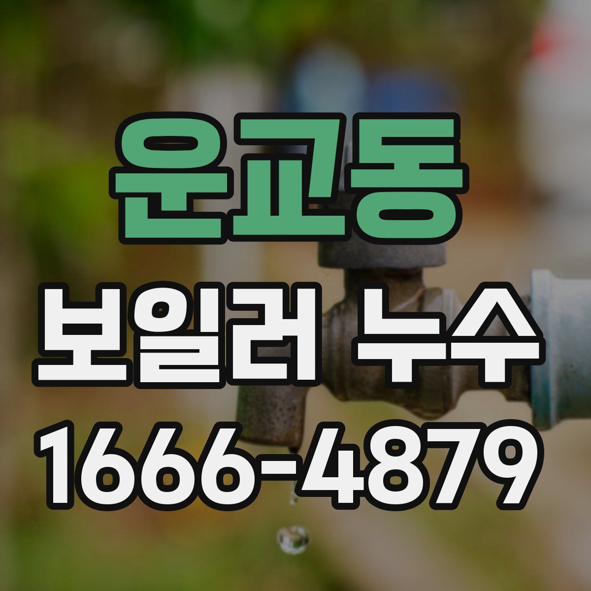 운교동 보일러 누수