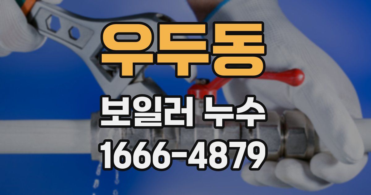 우두동 보일러 누수