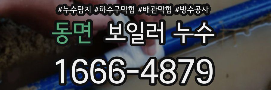 동면 보일러 누수