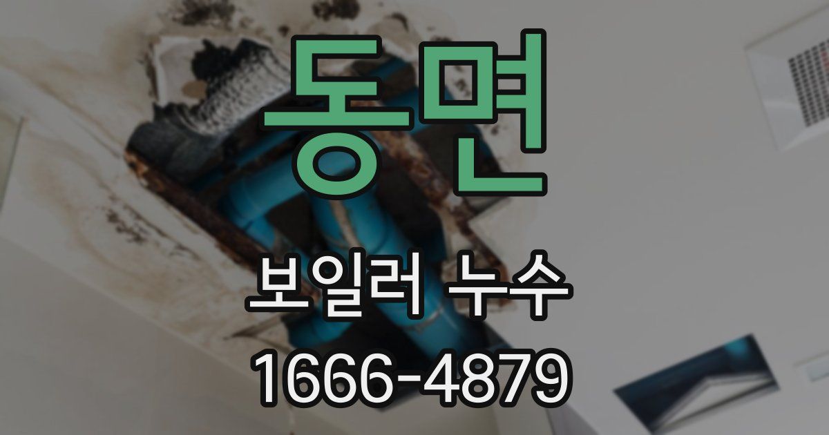 동면 보일러 누수
