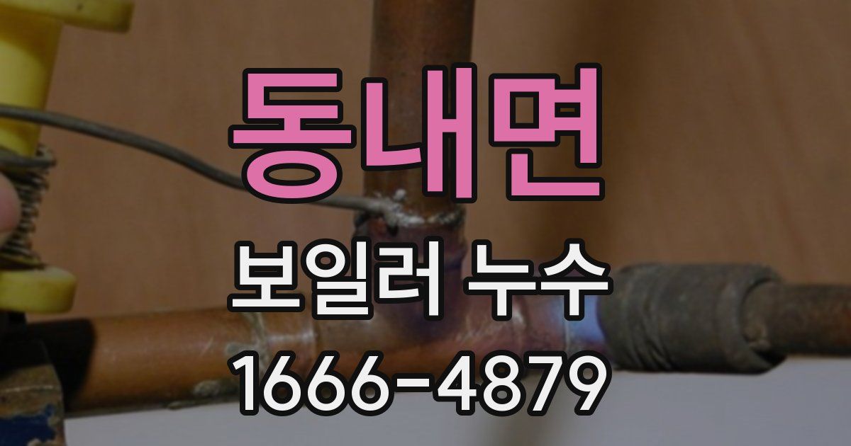 동내면 보일러 누수