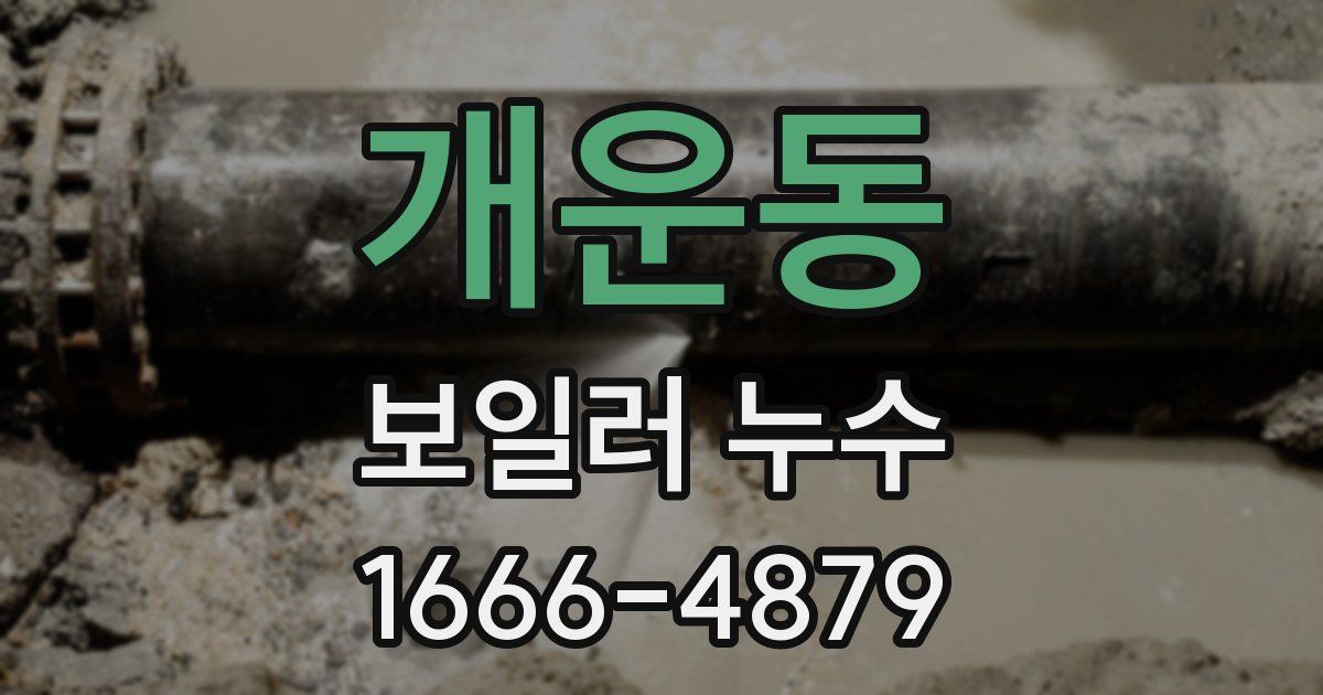 개운동 보일러 누수