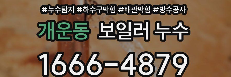 개운동 보일러 누수