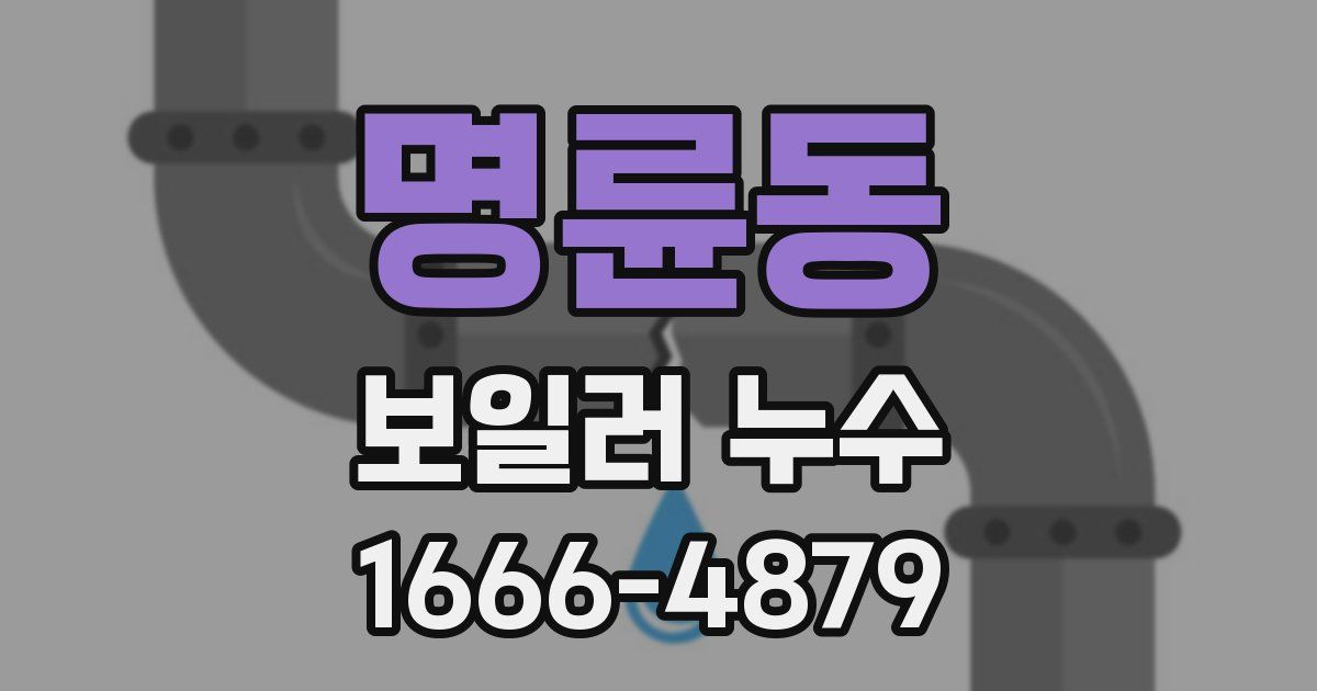 명륜동 보일러 누수