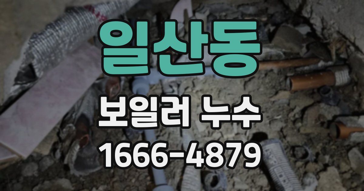 일산동 보일러 누수