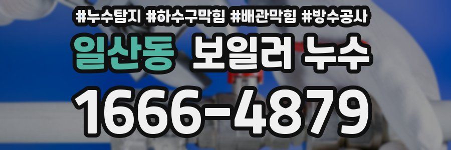 일산동 보일러 누수