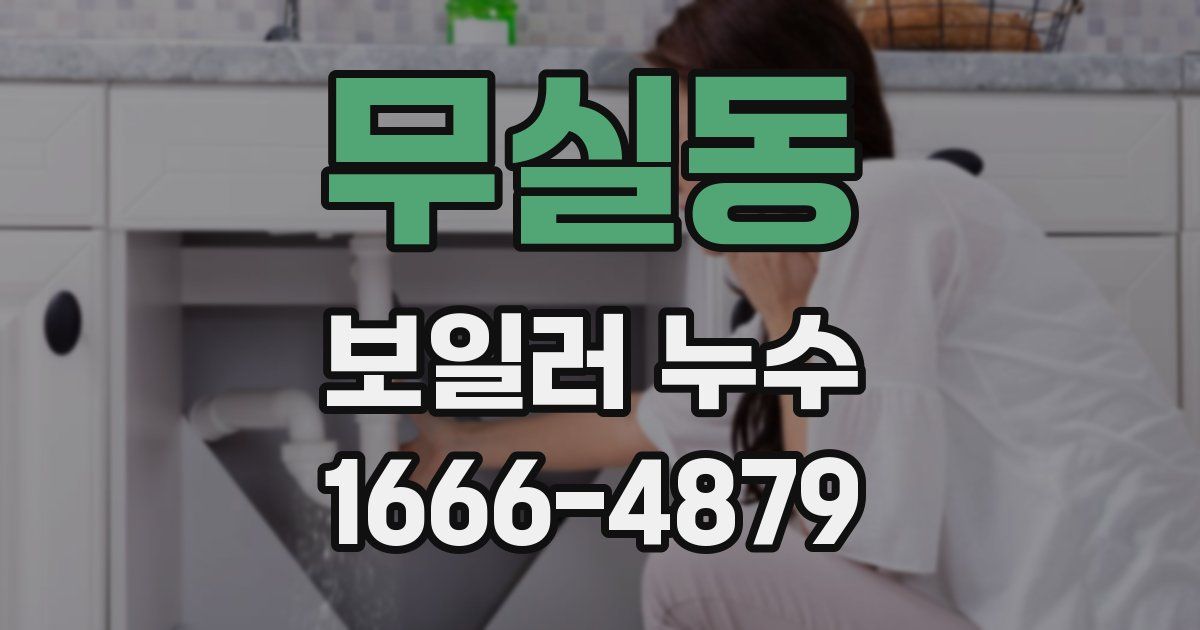 무실동 보일러 누수