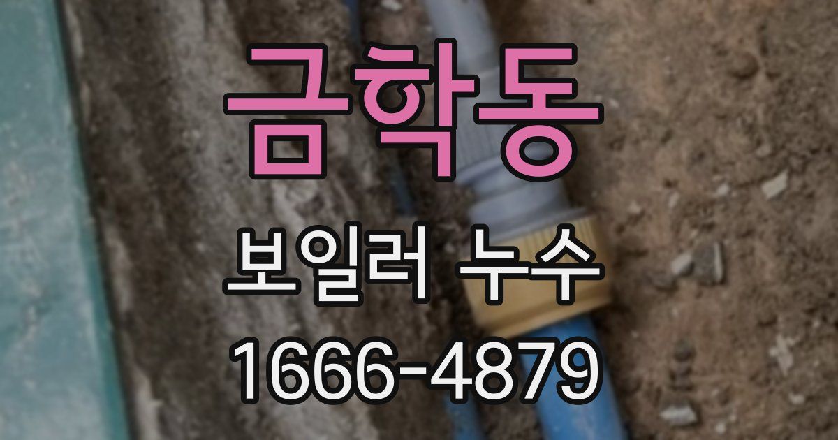 금학동 보일러 누수