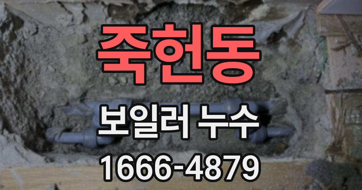 죽헌동 보일러 누수