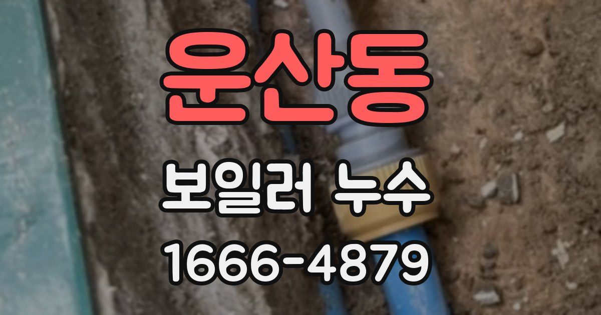 운산동 보일러 누수