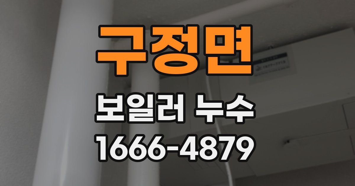 구정면 보일러 누수