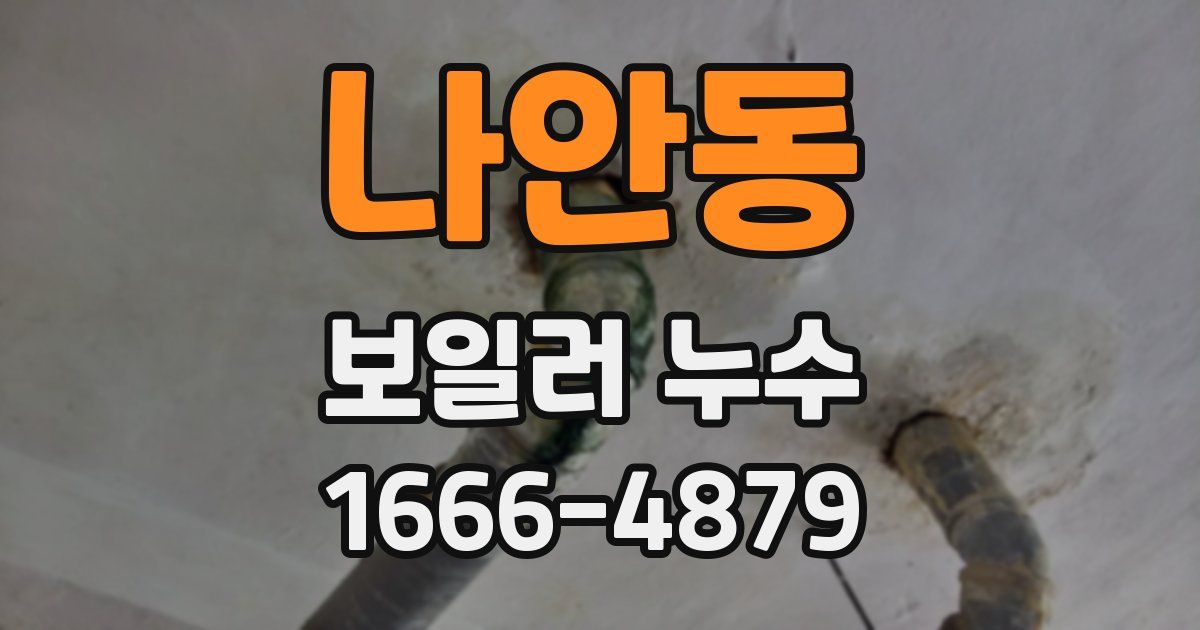 나안동 보일러 누수