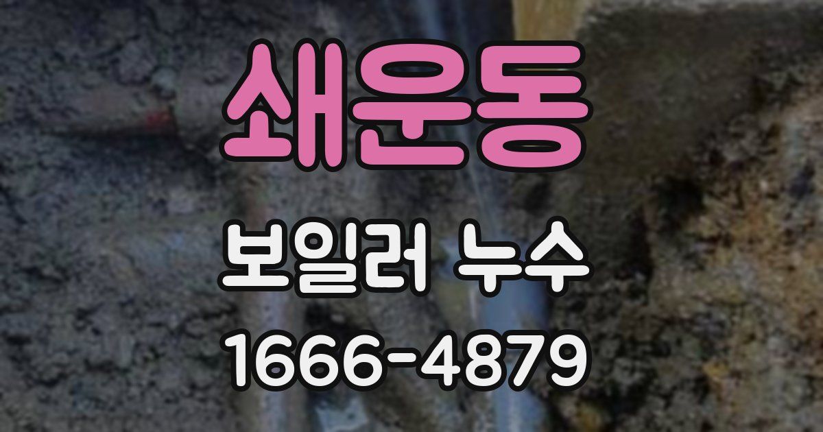 쇄운동 보일러 누수