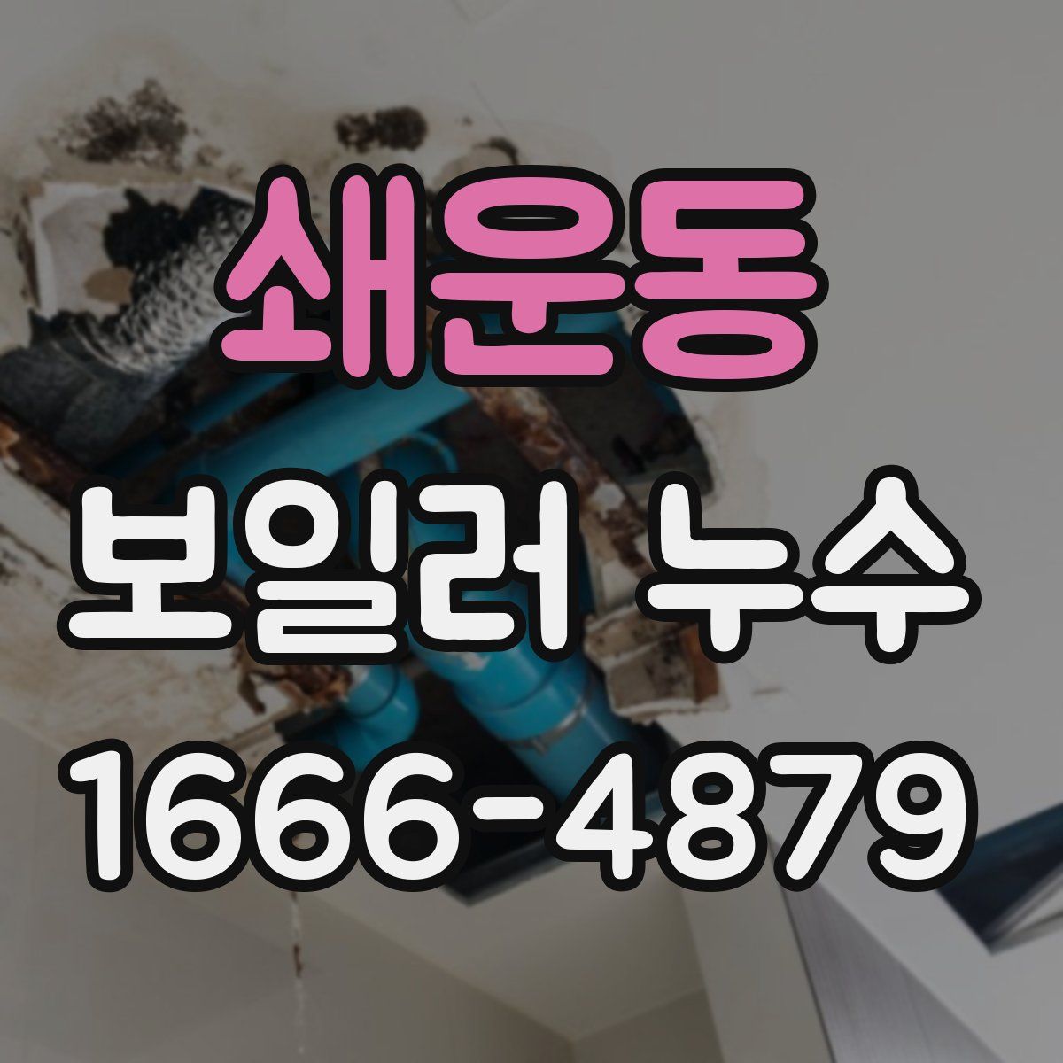 쇄운동 보일러 누수