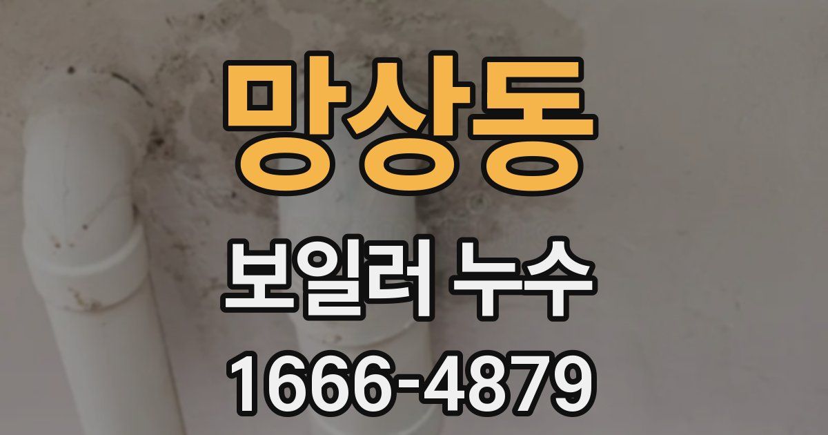 망상동 보일러 누수