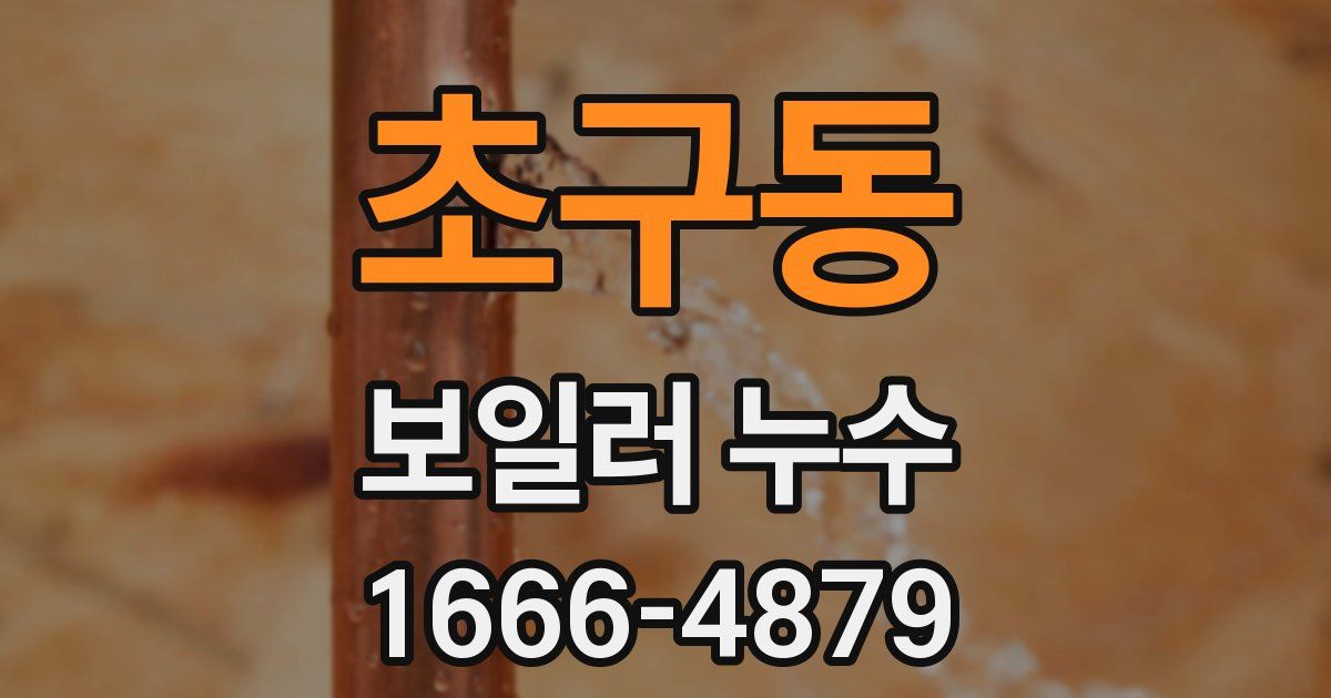 초구동 보일러 누수