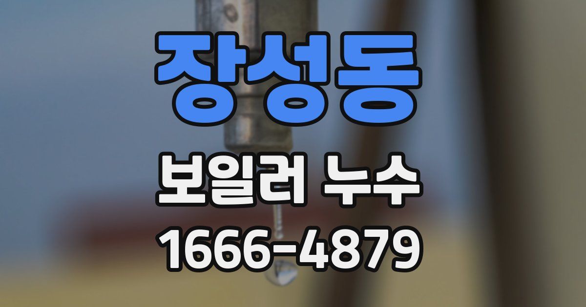 장성동 보일러 누수