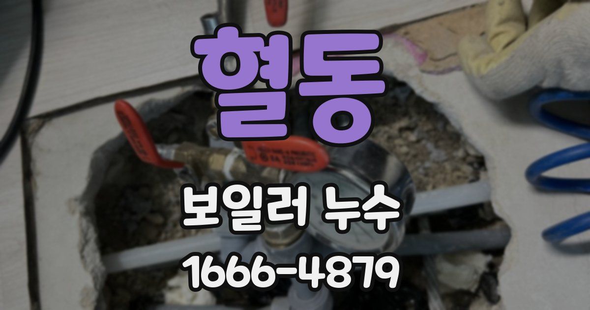 혈동 보일러 누수