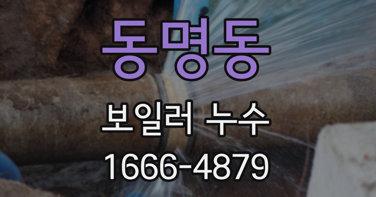 동명동 보일러 누수