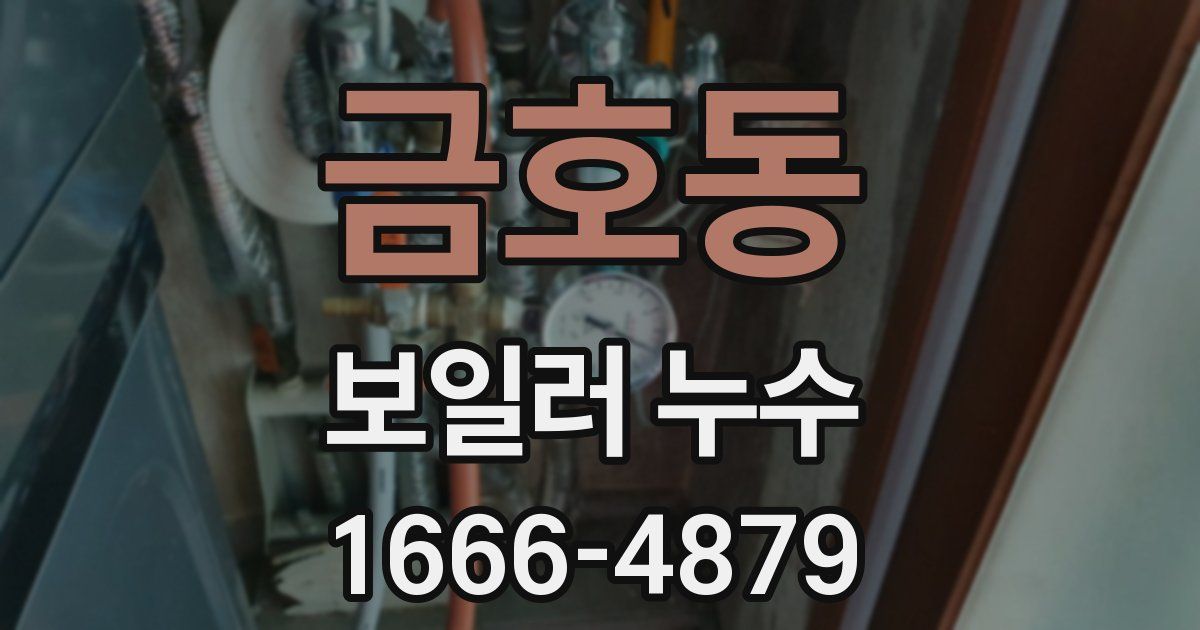 금호동 보일러 누수