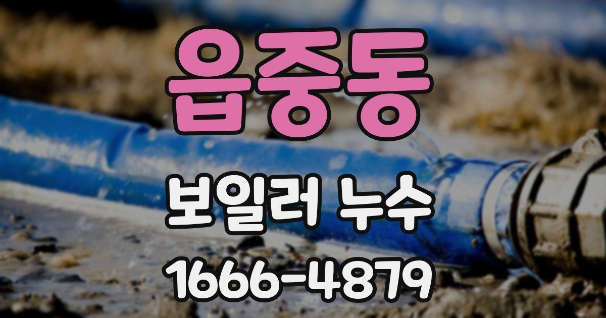 읍중동 보일러 누수