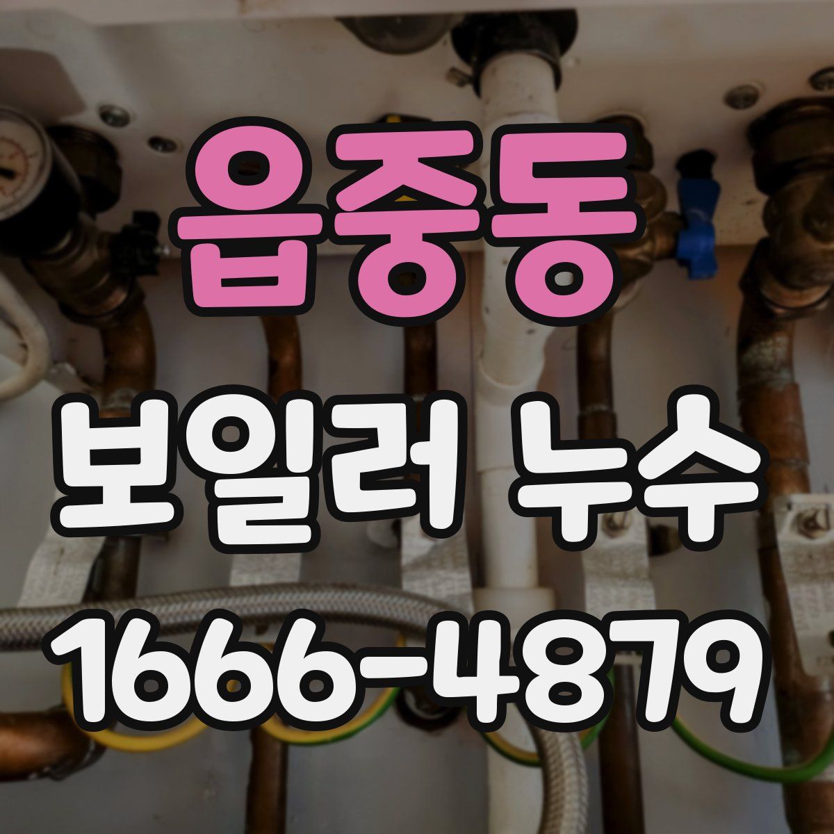 읍중동 보일러 누수