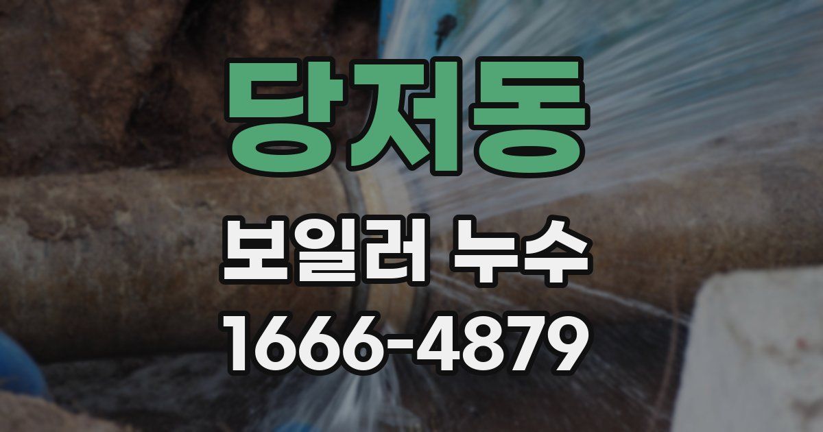 당저동 보일러 누수