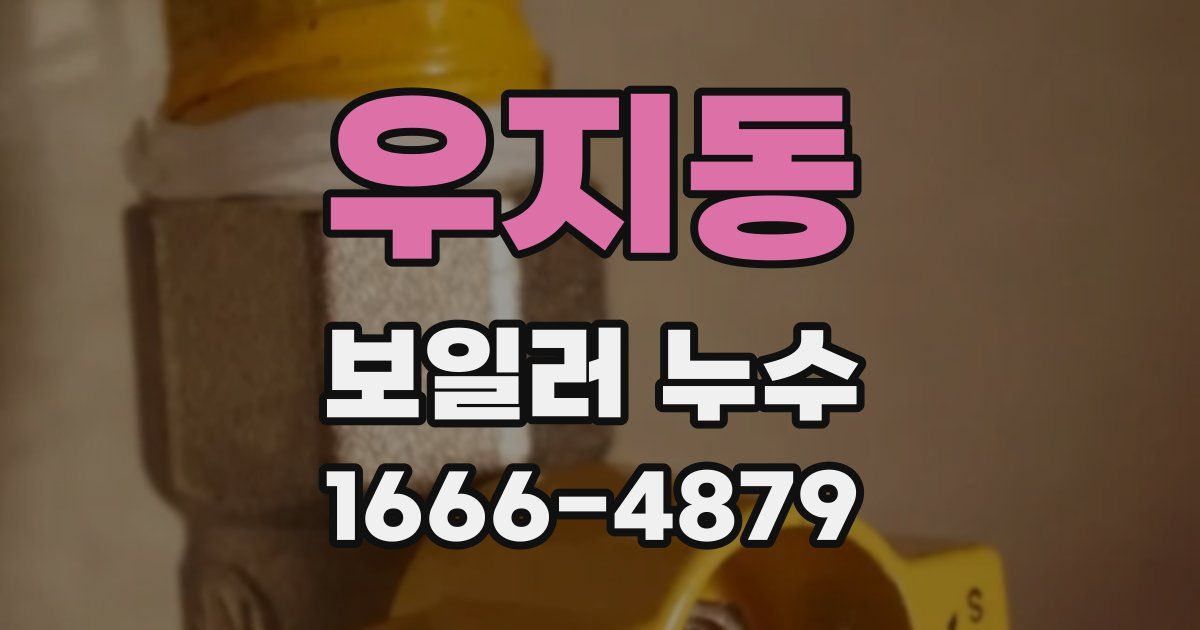 우지동 보일러 누수