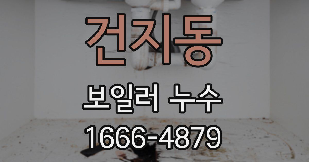 건지동 보일러 누수