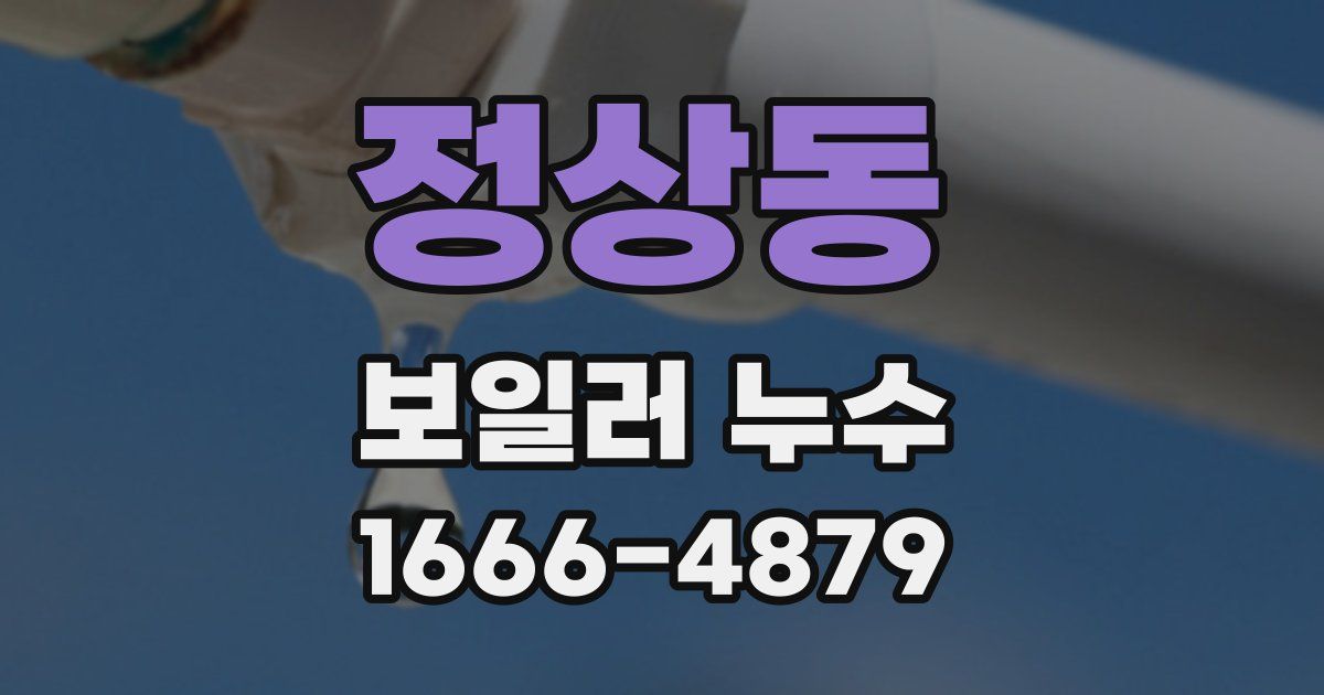 정상동 보일러 누수